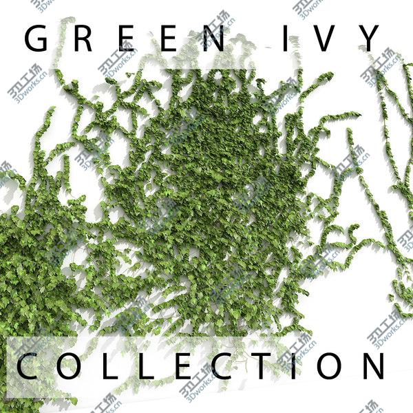 images/goods_img/20210312/Green Ivy Plant Collection On Wall/1.jpg